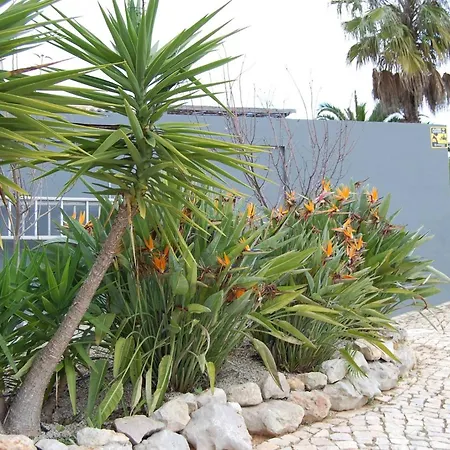 Charming With 3 Bedrooms And Sea View 빌라 롤레